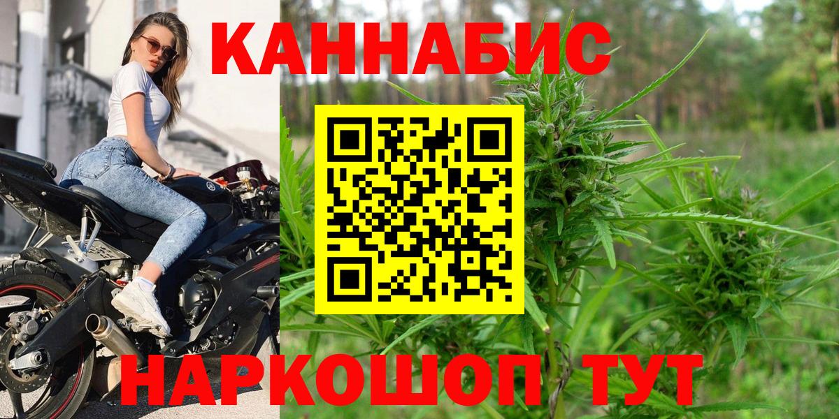 Бошки Шишки планчик Сыктывкар